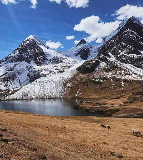 Ausangate 7 Lakes – full day tour