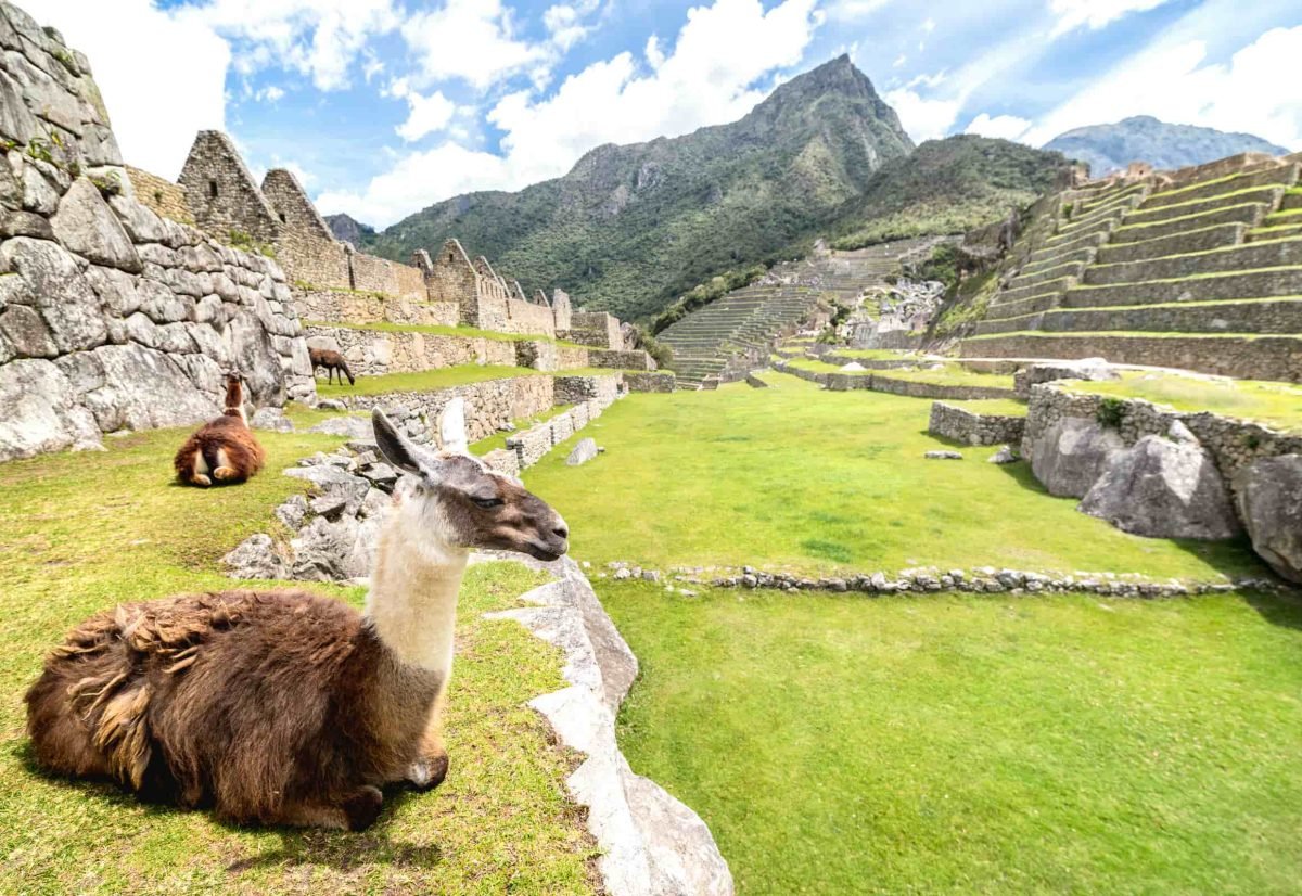 Short inca Trail 2  Days to Machu Picchu
