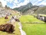 Short inca Trail 2  Days to Machu Picchu