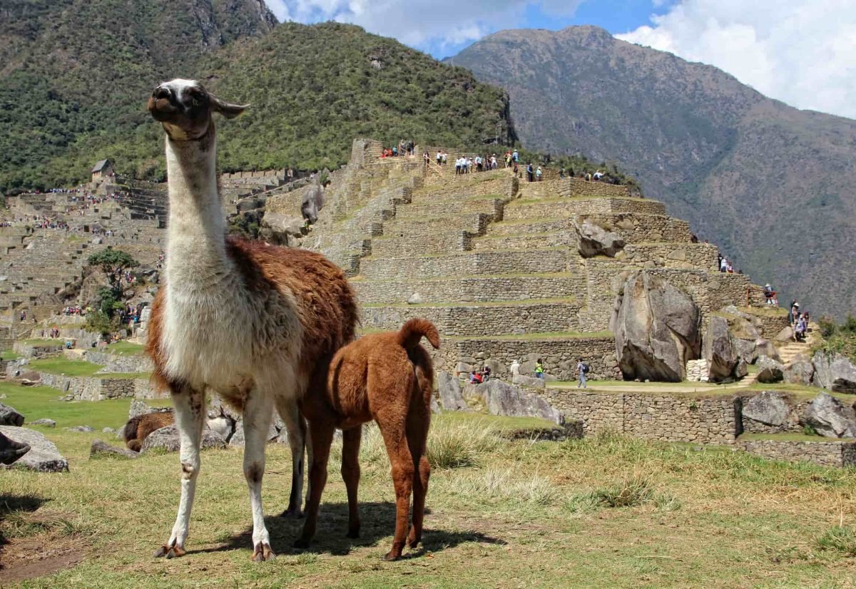 Salkantay Trek 4 Days to Machu Picchu