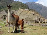 Salkantay Trek 4 Days to Machu Picchu