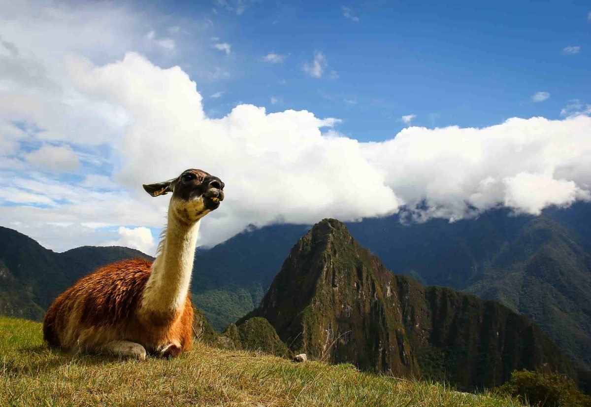 Salkantay Trek 4 Days to Machu Picchu