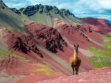 Rainbow Mountain Hike Peru – 1 Day Tour with Red Valley